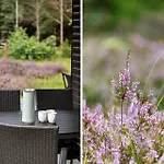 2800-romo-dvaergternen-11 *