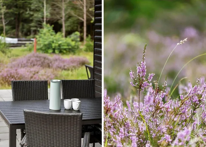 2800-romo-dvaergternen-11 *